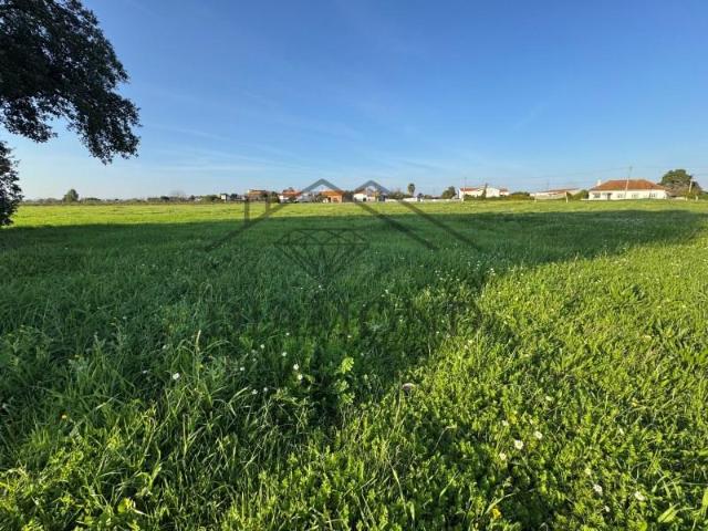 Terreno venda em Alpiarça, Santarém