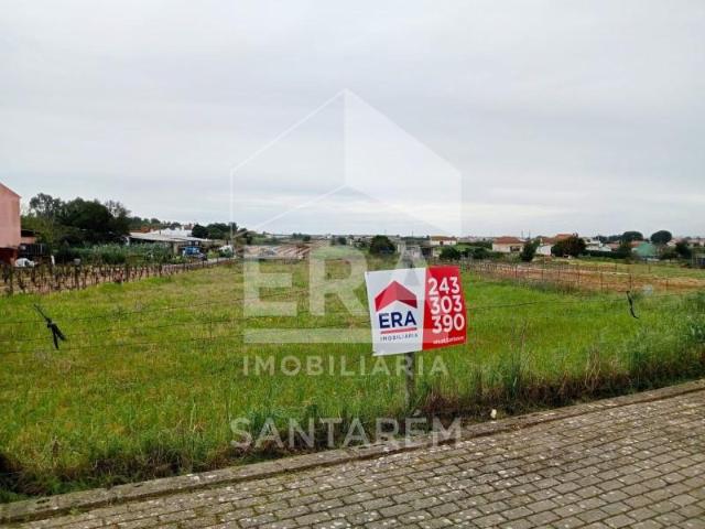 Terreno venda em Alpiarça, Santarém