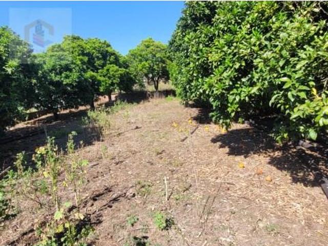 Terreno venda em Alpiarça, Santarém