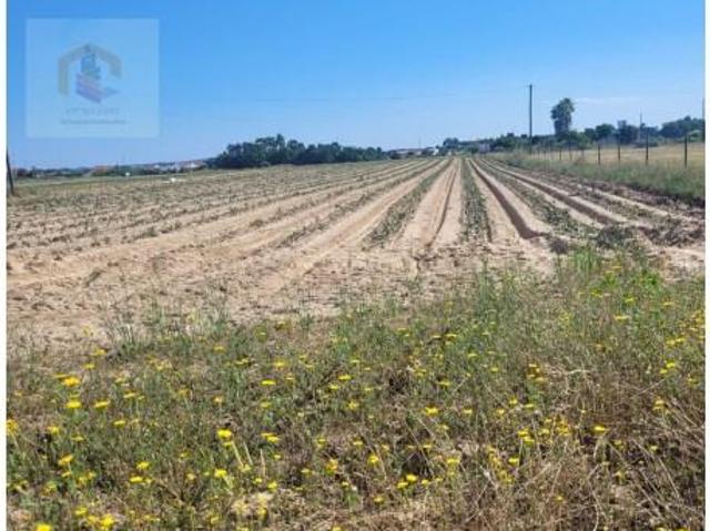 Terreno venda em Alpiarça, Santarém