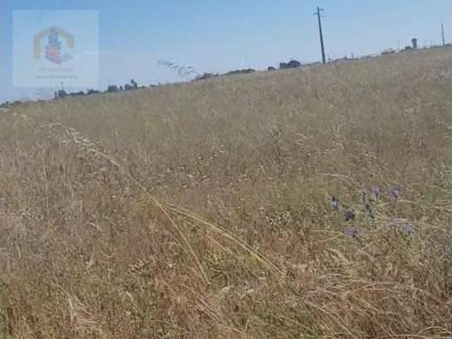 Terreno venda em Alpiarça, Santarém