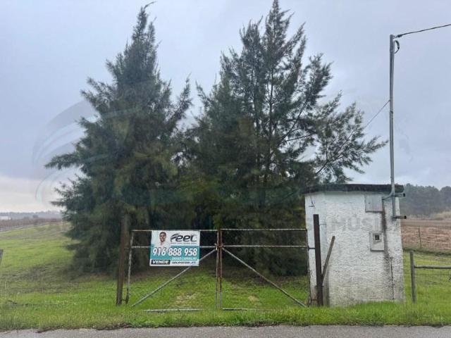 Terreno venda em Alpiarça, Santarém