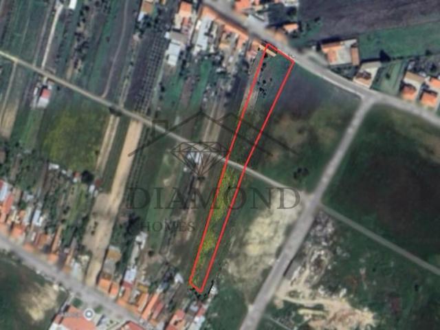 Terreno venda em Alpiarça, Santarém