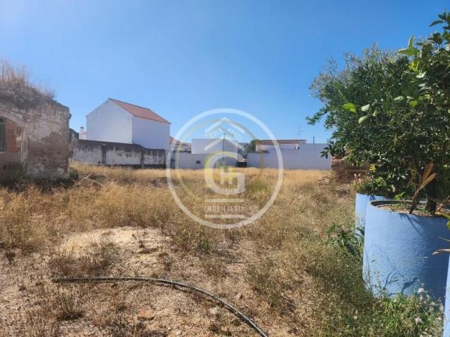 Terreno venda em Alpiarça, Santarém