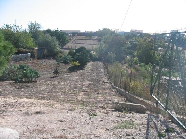 Terreno venda em Alpiarça, Santarém