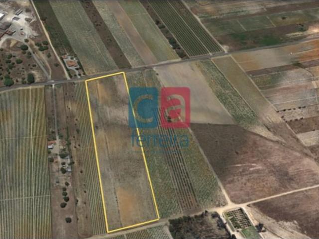 Terreno venda em Alpiarça, Santarém
