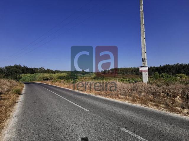 Terreno venda em Alpiarça, Santarém