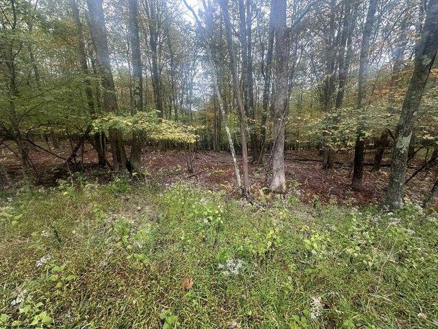 Land for sale in Terra Alta, West Virginia