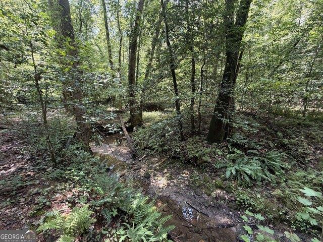 Land for sale in Sautee, White County