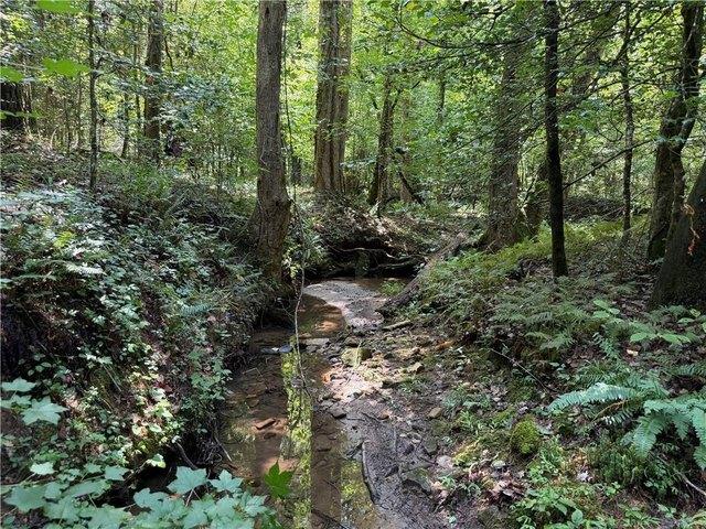 Land for sale in Sautee, White County