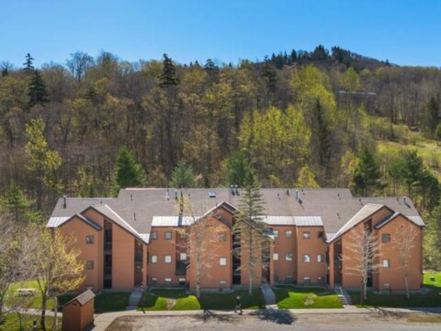 Condo for sale in Killington