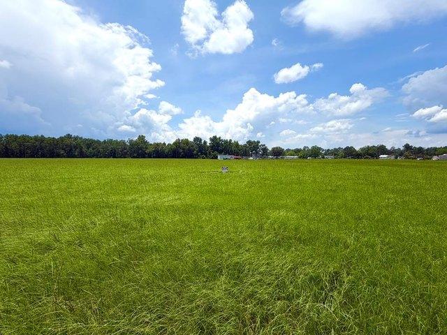 Land for sale in Willacoochee, Georgia