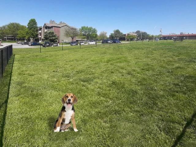 Apartment for rent in Nebraska