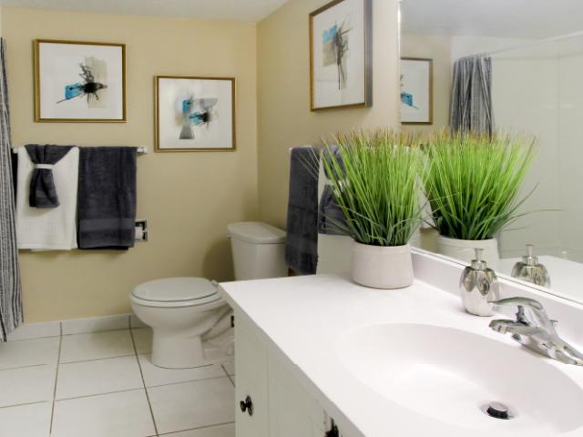Apartment for rent in Nebraska