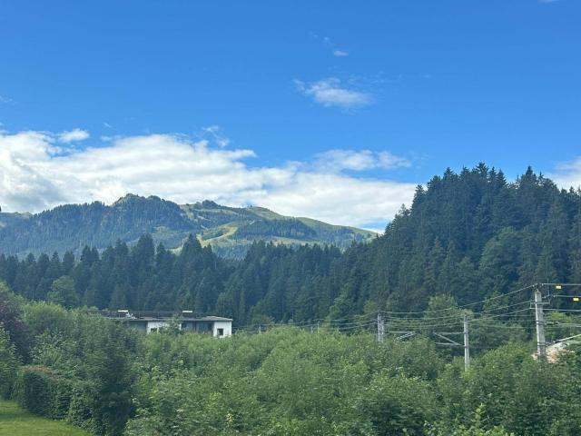 Apartment mieten in Stegerwiese, Aurach bei Kitzbühel