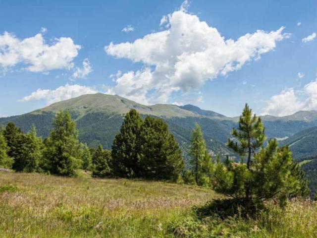 Grundstück kaufen in Reichenau, Kärnten