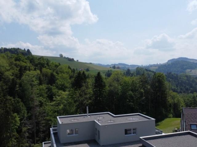 Einfamilienhaus kaufen in Eggersriet, St. Gallen