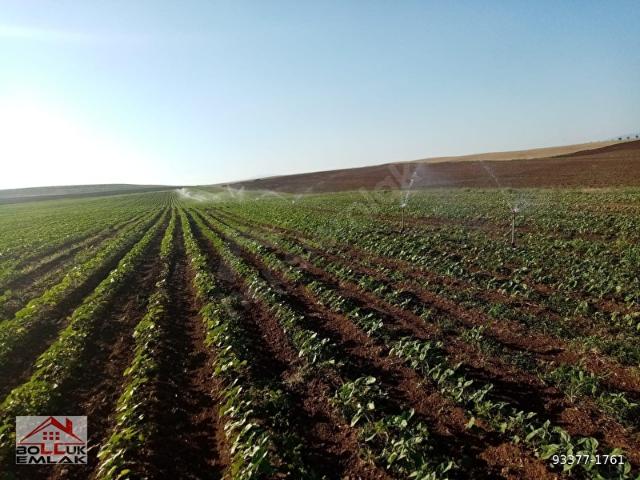 Uyuzhamam, Alpu içerisinde satılık Arsa