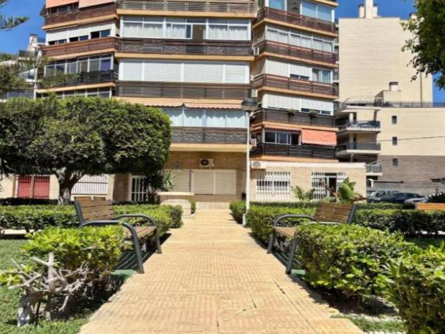 Apartamento en alquiler en Alicante