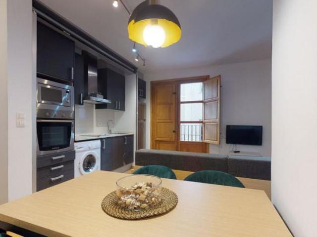 Apartamento en alquiler en Valencia, el Mercat