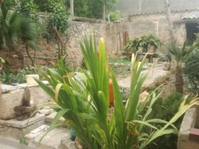 Habitación en alquiler en Pla de Mallorca, Baleares