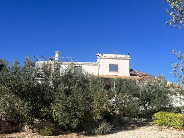 Habitación en alquiler en Sierra de las Nieves, Andalucía