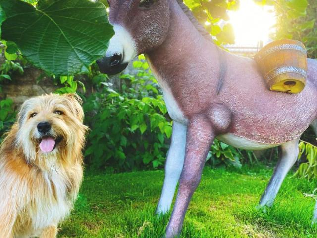 Habitación en alquiler en Sámano, Castro-urdiales