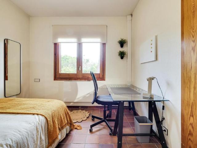 Habitación en alquiler en Bellaterra, Vallès Occidental