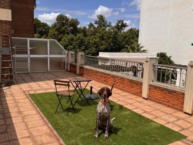 Apartamento en alquiler en A Illa De Arousa