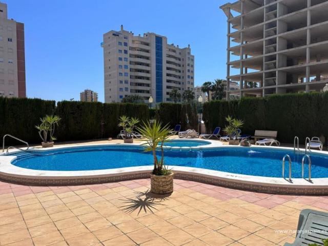 Apartamento en alquiler en Guardamar Del Segura, Alicante
