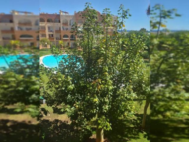 Apartamento en alquiler en Palma, España