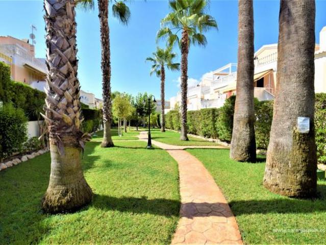 Bungalow en alquiler en Guardamar Del Segura
