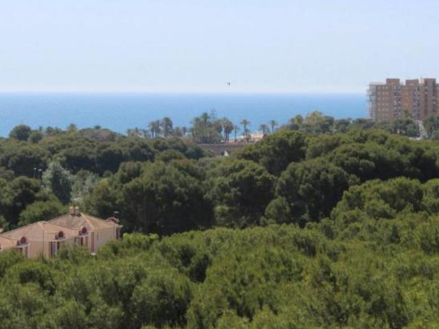 Apartamento en alquiler en Urbanización Residencial Montemar, Orihuela