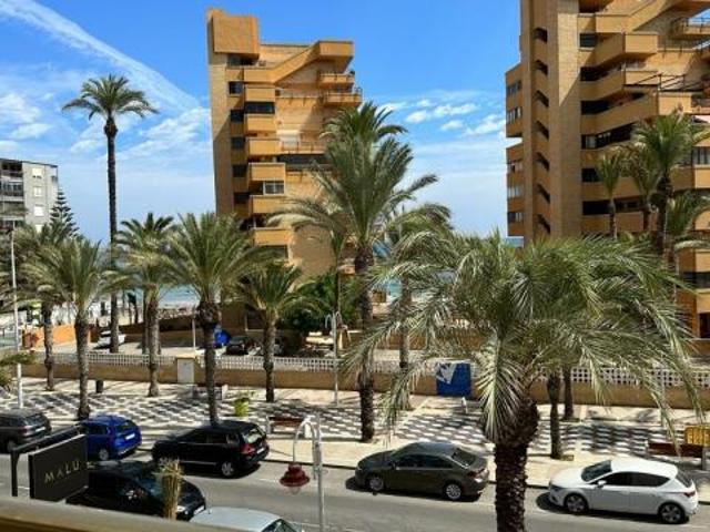 Apartamento en alquiler en Elche