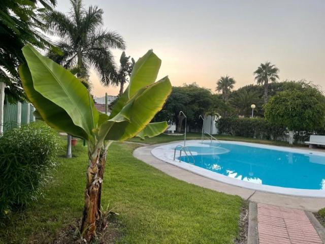 Bungalow en alquiler en Gran Canaria, Campo Internacional