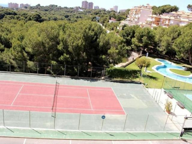 Casa en alquiler en Dehesa de Campoamor, el Baix Segura / La Vega Baja