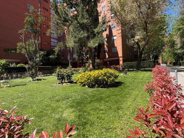 Oficina en alquiler en Moratalaz, Madrid