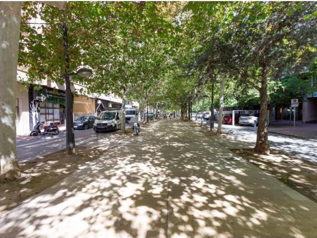 Local Comercial en alquiler en Orihuela, Severo Ochoa