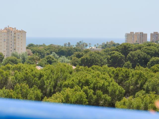 Apartamento en alquiler en Dehesa de Campoamor, el Baix Segura / La Vega Baja