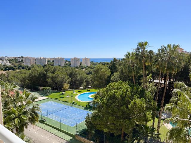 Apartamento en alquiler en Dehesa de Campoamor, el Baix Segura / La Vega Baja