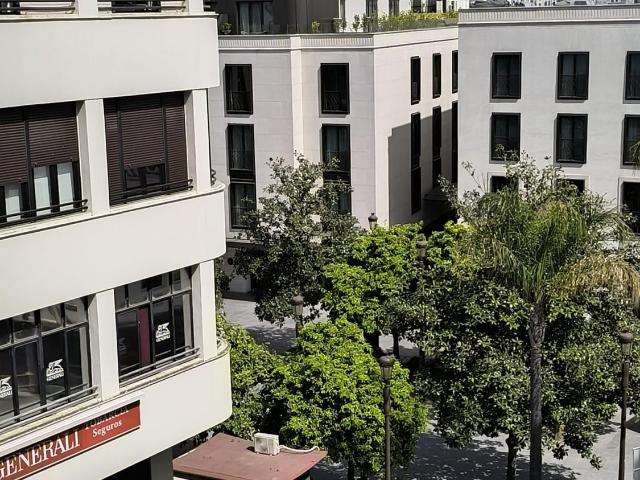 Apartamento en alquiler en Casco Antiguo, Sevilla