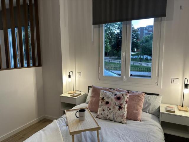 Apartamento en alquiler en Norte, Alcorcón
