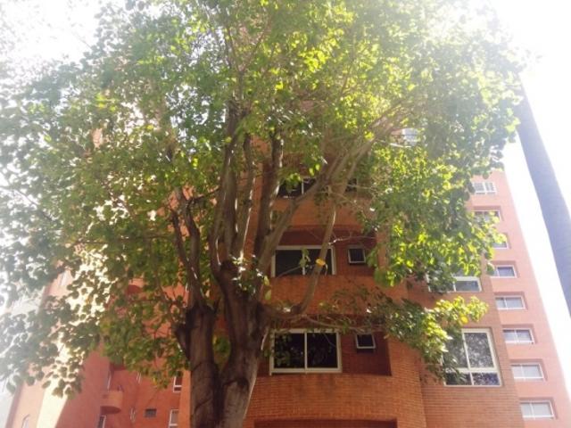 Apartamento en alquiler en Boca De Uchire, Miranda