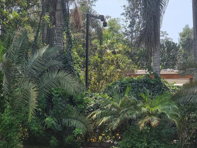 Casa alquiler en Santiago De Surco, Lima Metropolitana