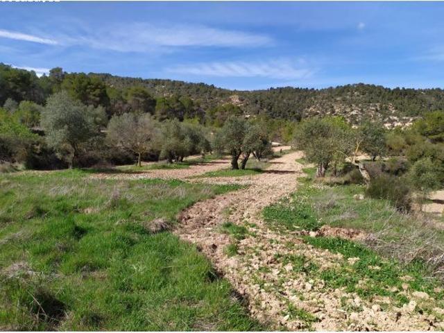 Local Comercial en alquiler en Villalbilla
