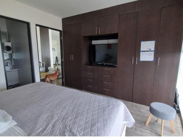 Alquiler de apartamento en san francisco, panamá