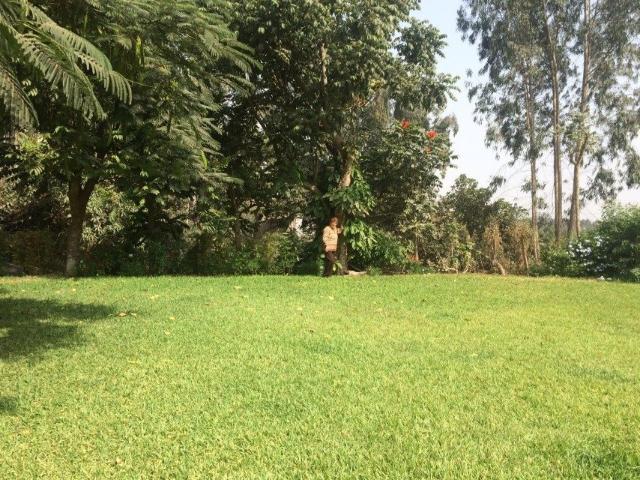 Casa alquiler en Santiago De Surco, Lima Metropolitana