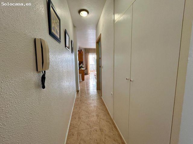 Piso en alquiler en El Palmeral, el Baix Segura / La Vega Baja