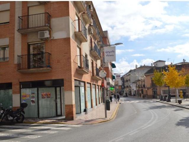 Local Comercial en alquiler en Comarca de la Vega de Granada, Andalucía
