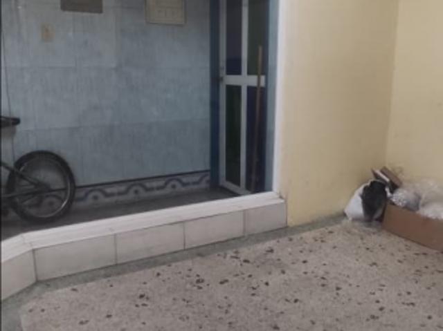 Local Comercial en alquiler en Acarigua, Portuguesa